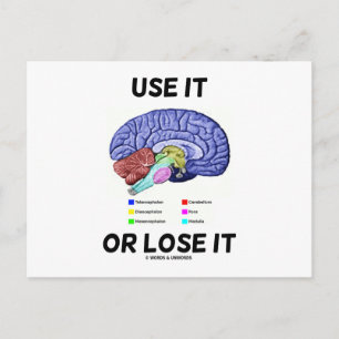 Carte Postale Utilisez-Le Ou Perdez-Le (Humour D'Anatomie Du Cer