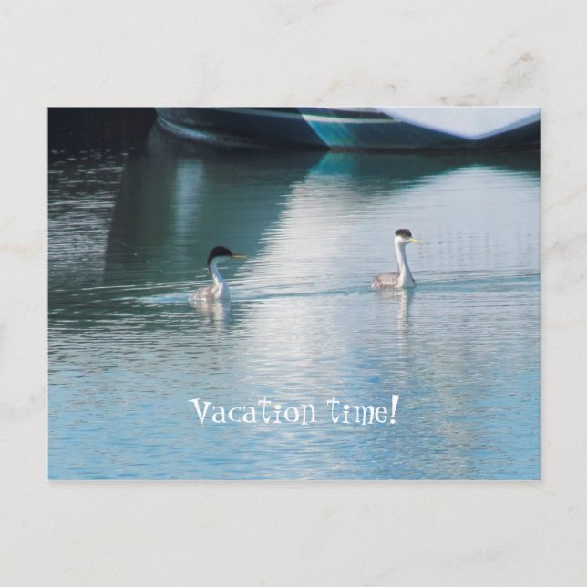 Carte postale - Vacances croisière (Devant)