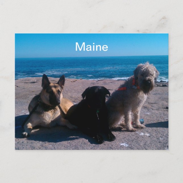 Carte Postale Vacances dans le Maine (Devant)