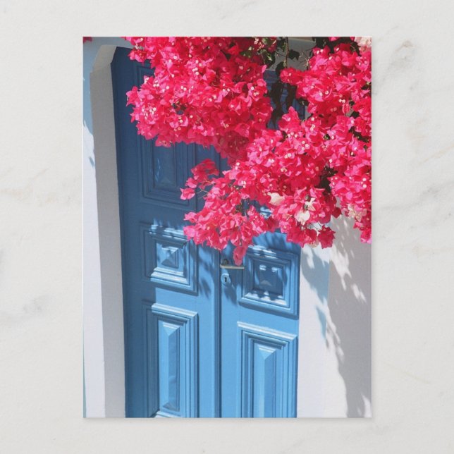 Carte Postale Vacances grecques (Devant)