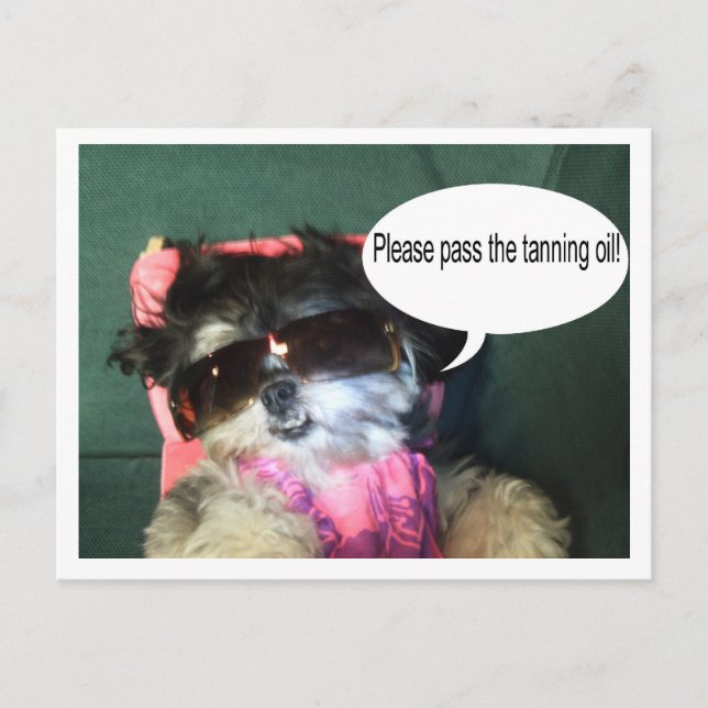 Carte postale Vacances Tropical (Devant)