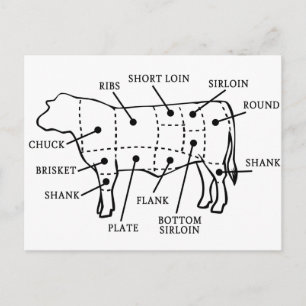 CARTE POSTALE VACHE À BOEUF