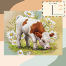 Vache Bébé mignonne dans un champ de marguerites F