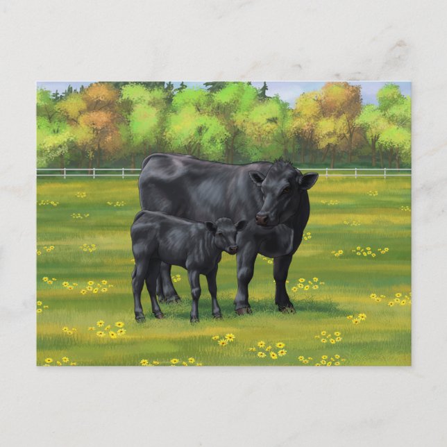 Carte Postale Vache d'Angus noir et veau mou en pâturage d'été (Devant)