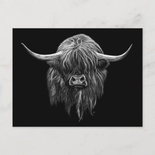 Carte Postale Vache Écossaise Highland En Noir Et Blanc