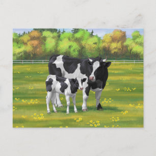 Carte Postale Vache Holstein et veau mignon en pâturage d'été