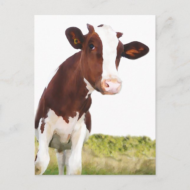 Carte Postale Vache laitière - Peint Brown & Blanc Holstein (Devant)