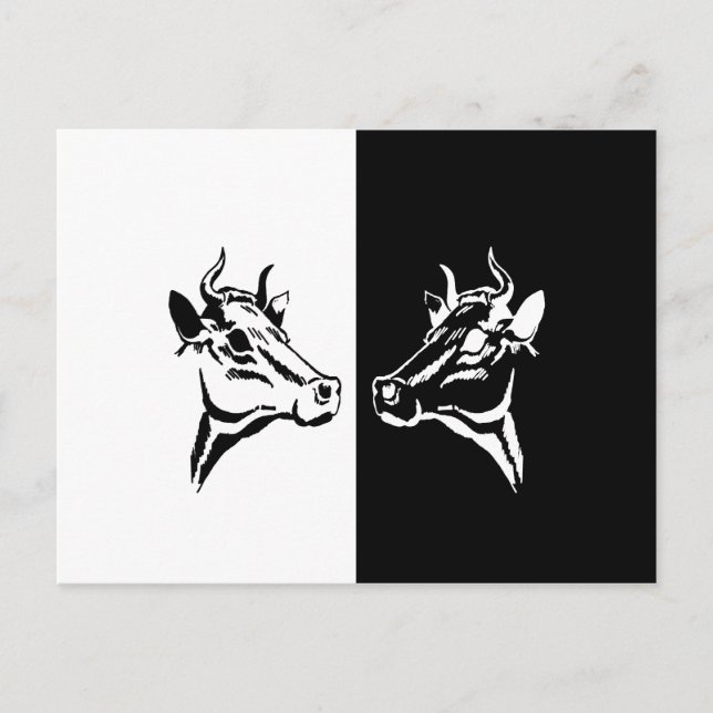 Carte Postale Vaches (Devant)
