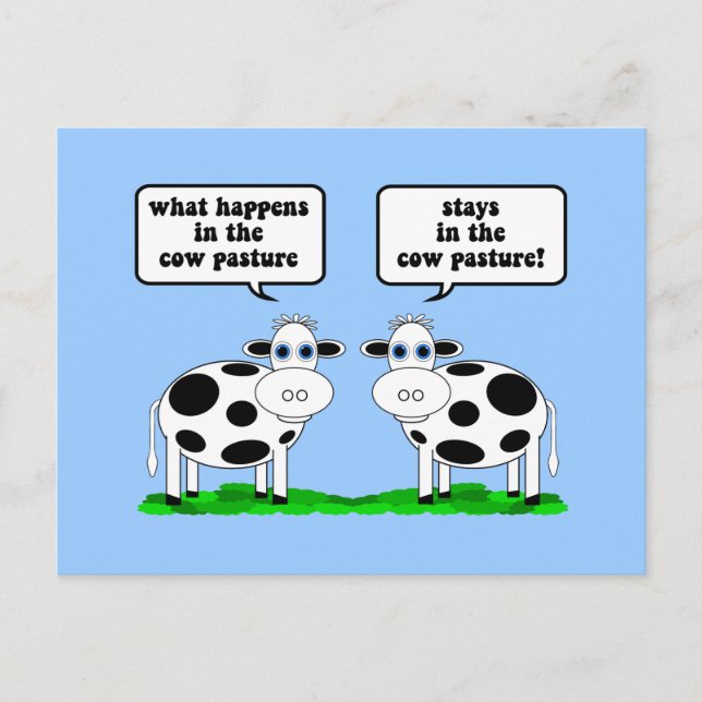 Carte Postale vaches (Devant)