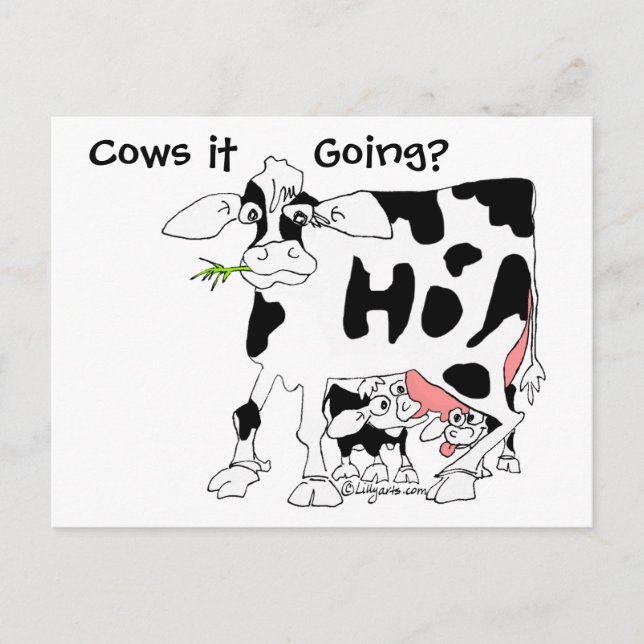 Carte Postale Vaches, ça va ? (Devant)