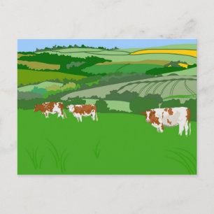 Carte Postale Vaches de pâturage