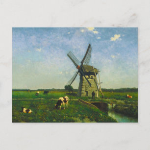 Carte Postale Vaches laitières broutant par un moulin à vent
