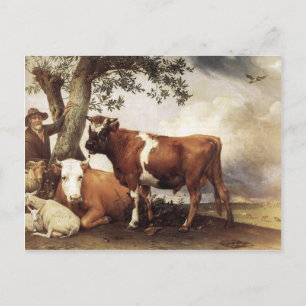 Carte Postale Vaches par Potter
