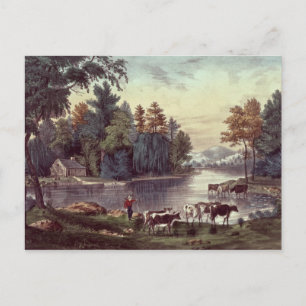 Carte Postale Vaches sur la rive d'un lac