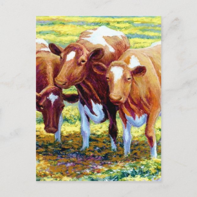 Carte Postale Vaches Vache Laitier Vache dans le pâturage Peintu (Devant)