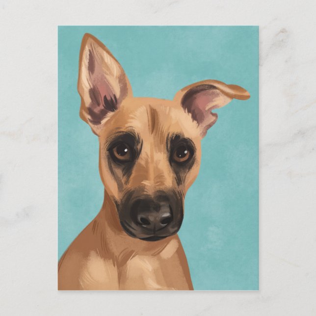Carte postale Vaden Black Mouth Cur (Devant)
