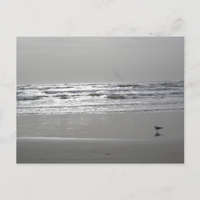 Carte postale Vagues (Devant)