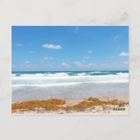 Vagues d'un ciel bleu vif se lavant sur le rivage