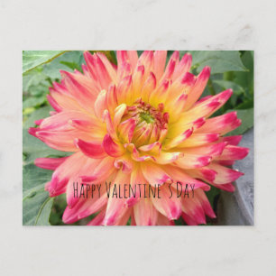 Carte postale Valentine avec dahlia rose et jaune
