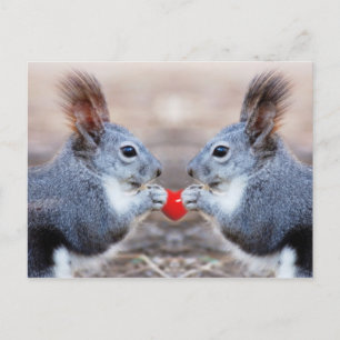 Carte postale Valentine Squirrels