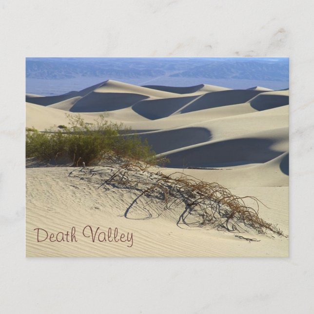Carte Postale Vallée de la mort (Devant)