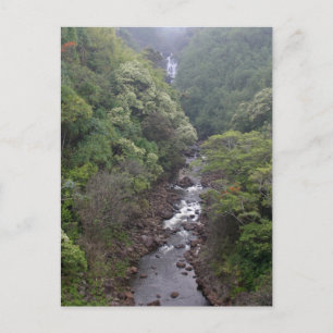 Carte Postale Vallée De La Rivière Près De Hilo, Hawaii