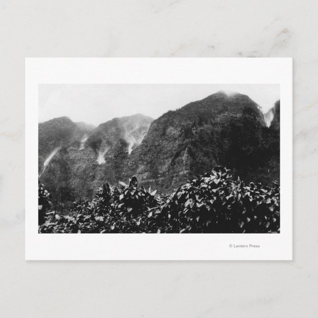 Carte Postale Vallée de Nuuanu, Hawaii - Vue de l'automne en hau (Devant)