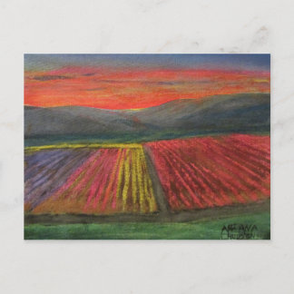 Carte Postale Vallée des tulipes