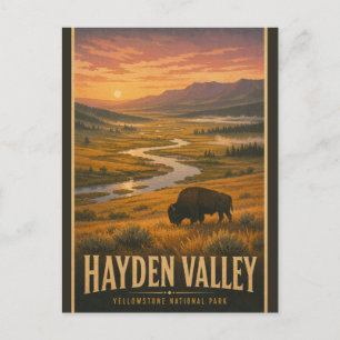 Carte Postale Vallée Hayden vintage Parc national de Yellowstone