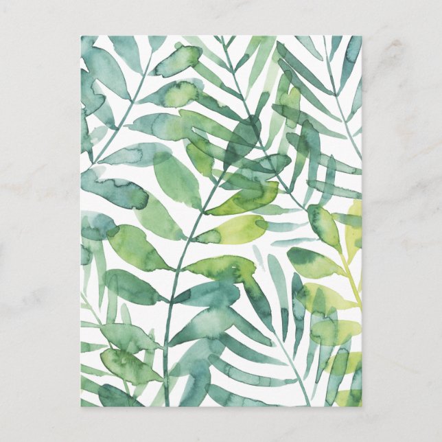 Carte Postale Valse Frond - Feuilles Frond Palm (Devant)