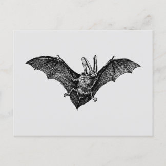 Carte Postale Vampire gothique de chauve-souris vintage