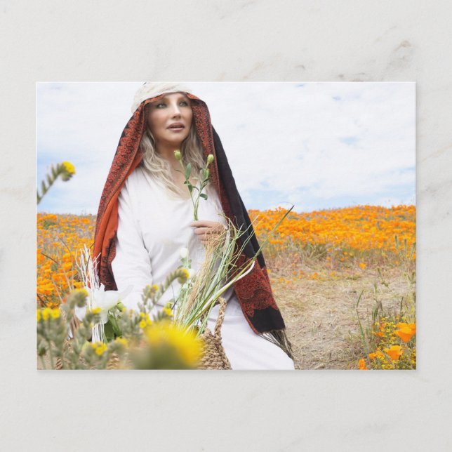 Carte postale Vamplified Poppy Gardens (Devant)