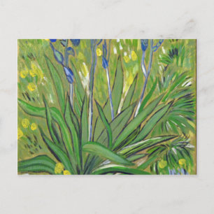 Carte Postale Van Gogh art Irises, reproduction acrylique