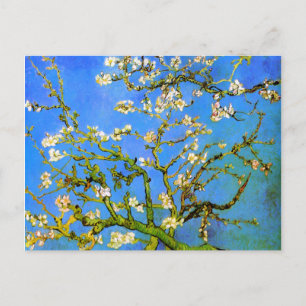 Carte Postale Van Gogh : Branches d'amandier en fleurs