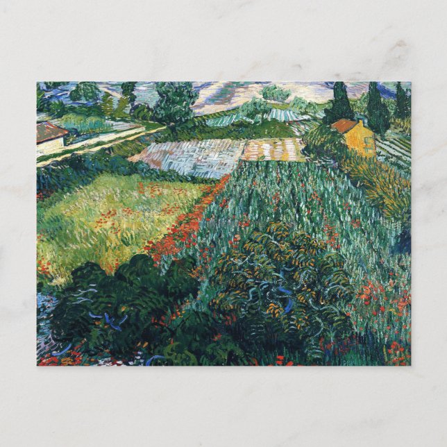 Carte Postale Van Gogh - Champ avec des pavois (Devant)