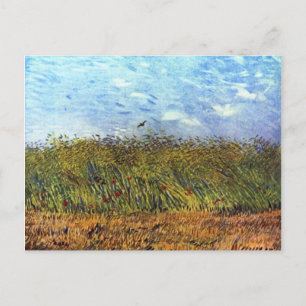 Carte Postale Van Gogh : Champ de blé avec des pavots et des lar