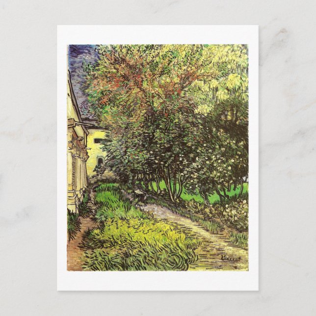 Carte Postale Van Gogh Garden St Remy Art (Devant)