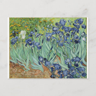 Carte Postale Van Gogh Irises