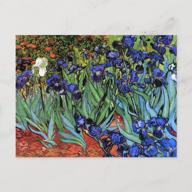 Carte Postale Van Gogh Irises (F608) Art Vintage (Devant)