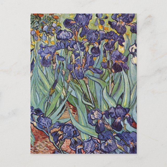 Carte Postale Van Gogh Irises Peinture impressionniste (Devant)