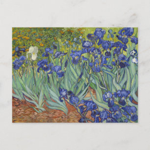 Carte Postale Van Gogh Irises Vintage Art Floral