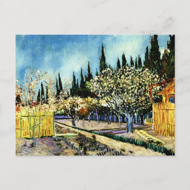 Carte Postale Van Gogh - Orchard Entouré de Cyprès (Devant)