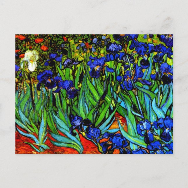 Carte Postale Van Gogh peinture, Irises, (Devant)