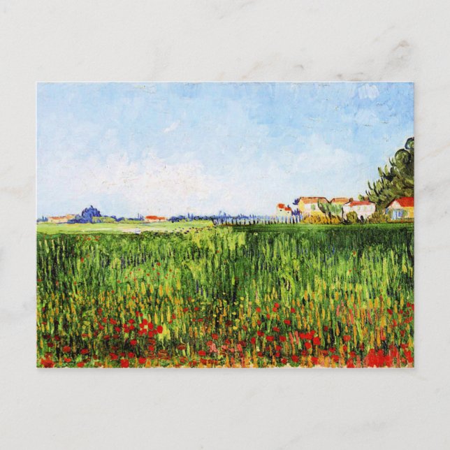 Carte Postale Van Gogh - Pré avec des pavots (Devant)