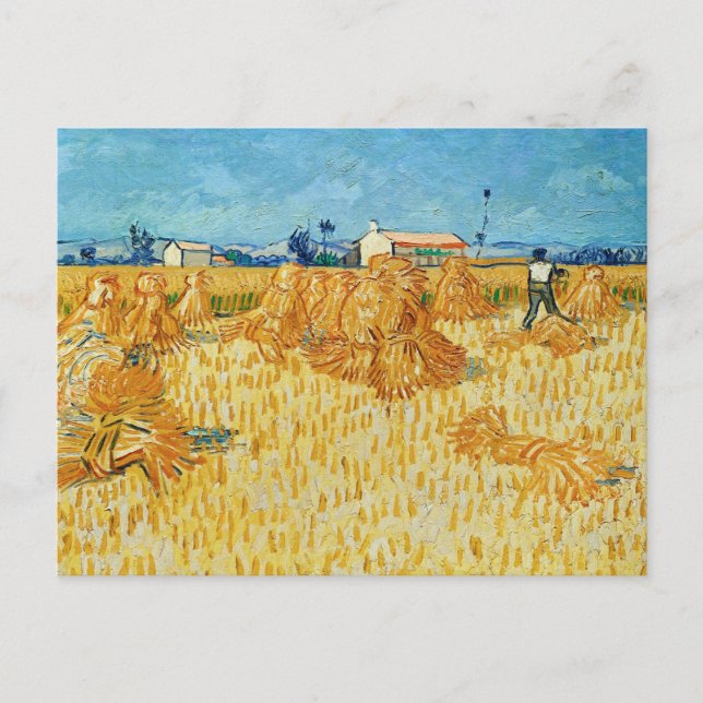 Carte Postale Van Gogh ; Récolte en Provence (Devant)