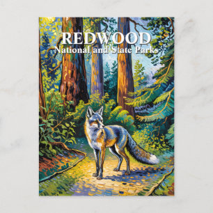 Carte Postale Van Gogh Renard Forêt du Parc National de Redwood 