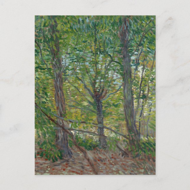 Carte Postale Van Gogh Trees and Underwood(F307) Art (Devant)