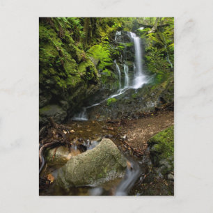 Carte Postale Vanne d'eau luxuriante de Californie