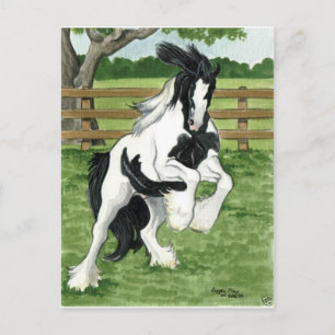 Carte Postale Vannière tzigane en jeu Cheval Art