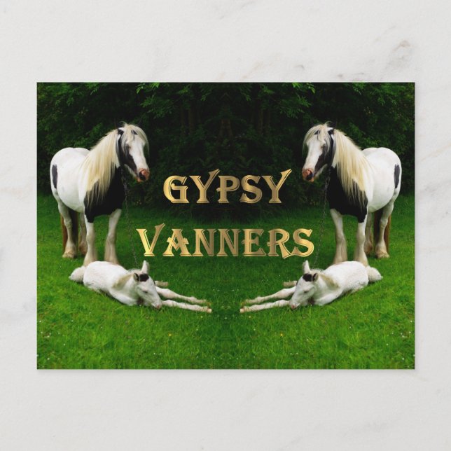 Carte Postale Vannières tziganes (Devant)